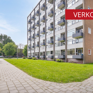 Hengelolaan 3B, Den Haag