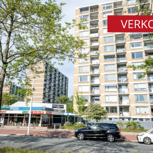 Teunisbloemplein 63, Den Haag